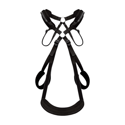 SEX SWING